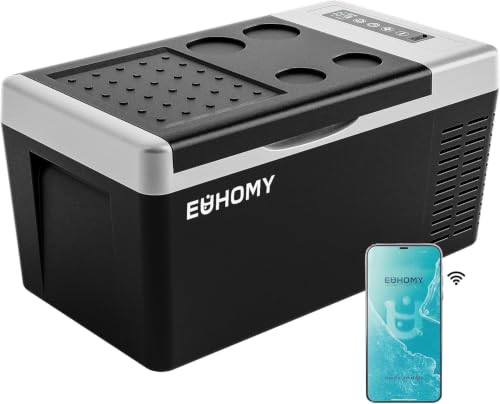 best low power camping fridge