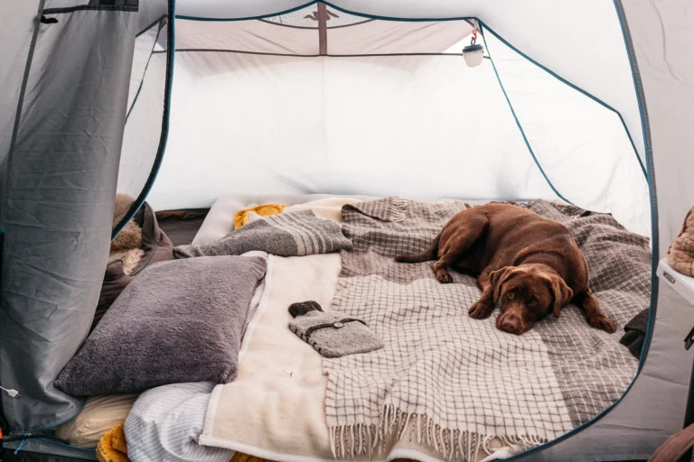 How To Keep Warm When Camping